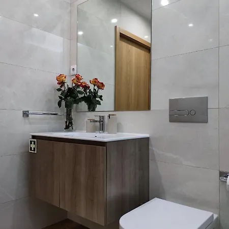 Apartment Trindade Porto